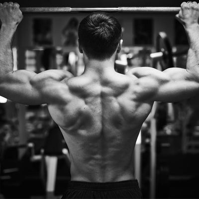 Fundamentals of Training and Building Muscle